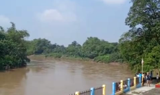 Bengawan Solo: Sungai Legendaris, Saksi Peradaban Nusantara