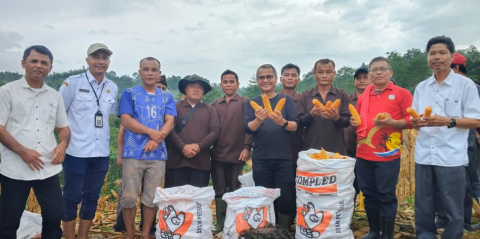 foto slider headline